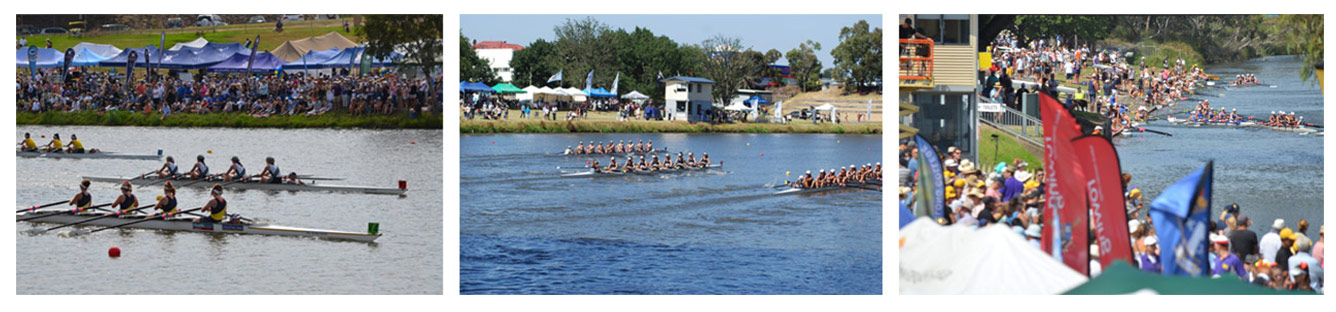 rowing teams